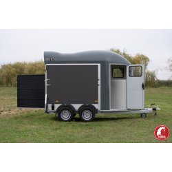 Gold Origins Plywood