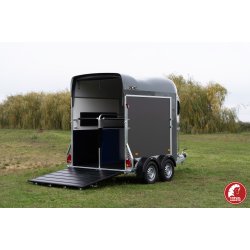 Gold Origins Plywood